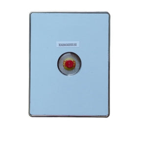 XOA3040JTW001AS Elevator Spare Part Fire Box