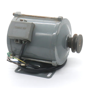 YVP220V-200 three-phase asynchronous motor