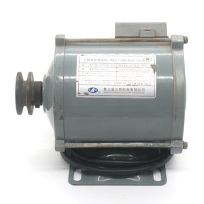 YVP220V-200 three-phase asynchronous motor