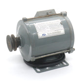 YVP220V-200 three-phase asynchronous motor